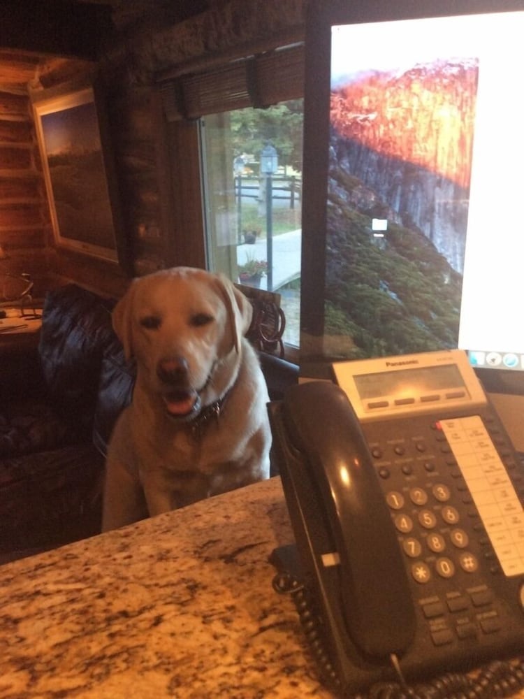 Moran Vacations - Heart 6 Ranch - Property Image 71