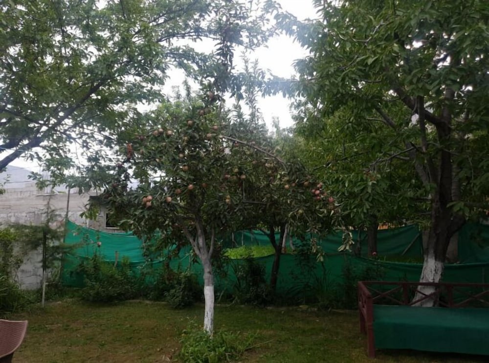Photo 11