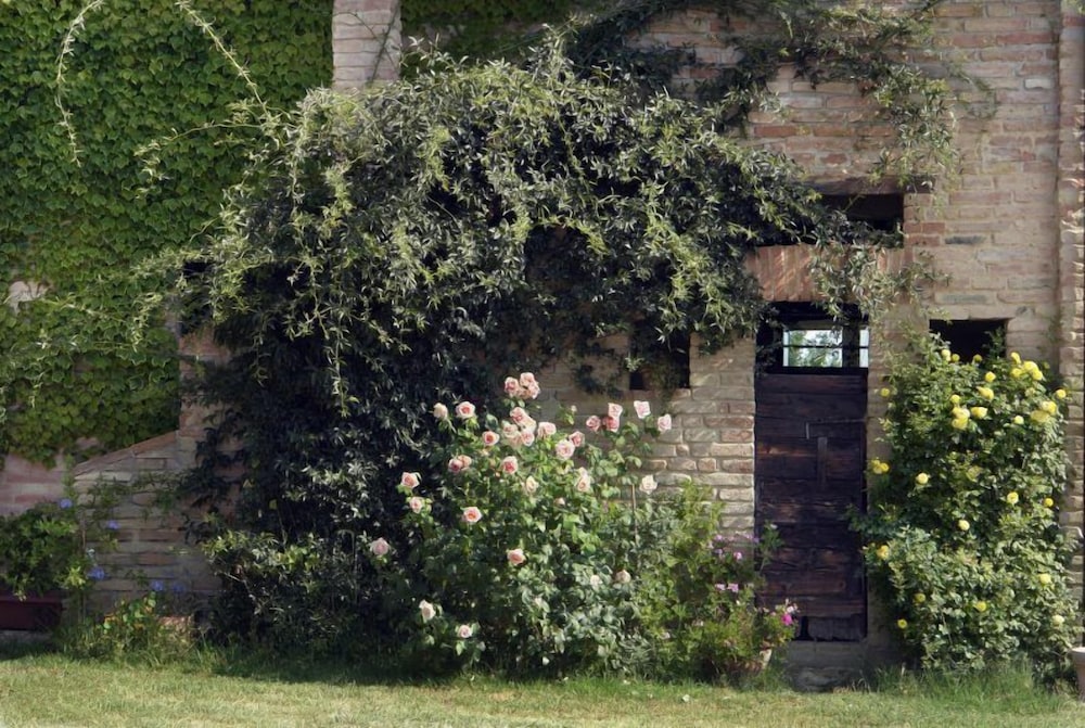Photo 21