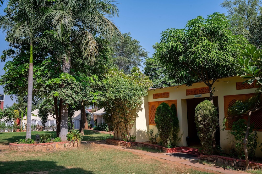 Ranthambore Tiger Resort by Park Tree view 2