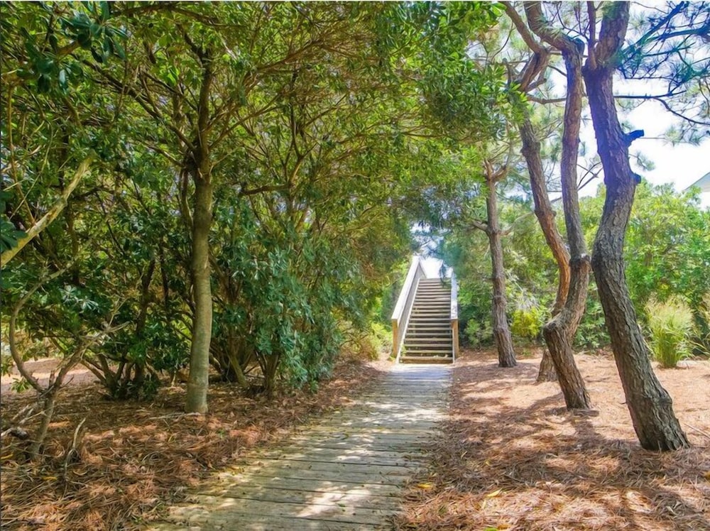 The Shell Collector by Topsail Realty