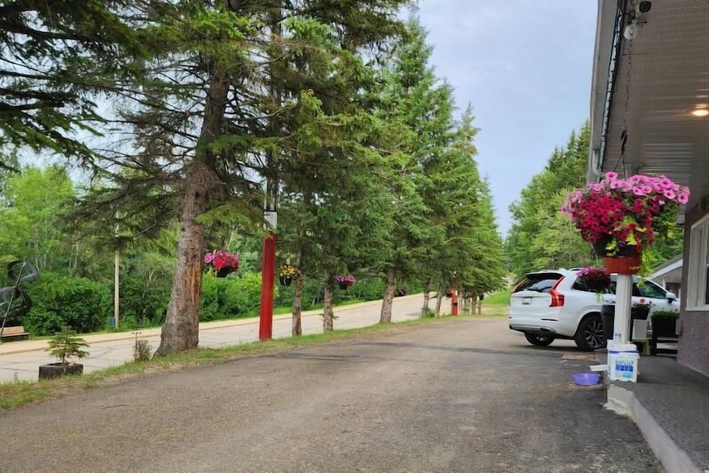 Athabasca Hillside Motel