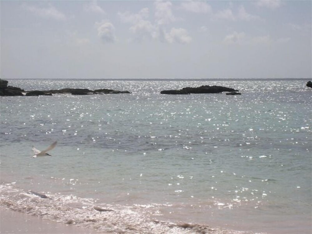 Hohum - Private Beachfront House On Exclusive Windermere 3 Bedroom Home