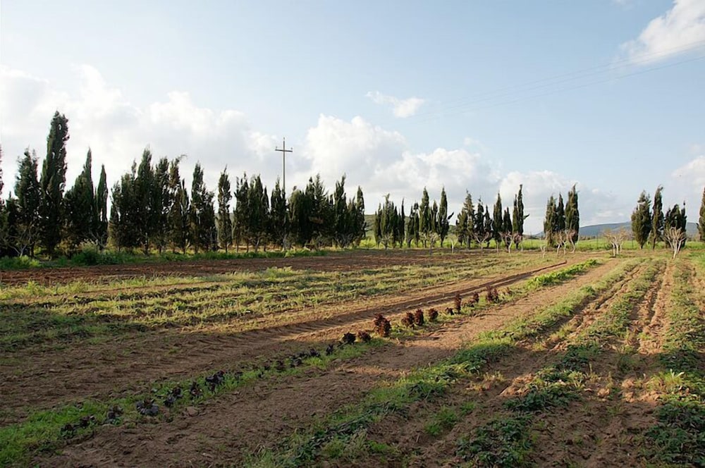 Agriturismo Agave