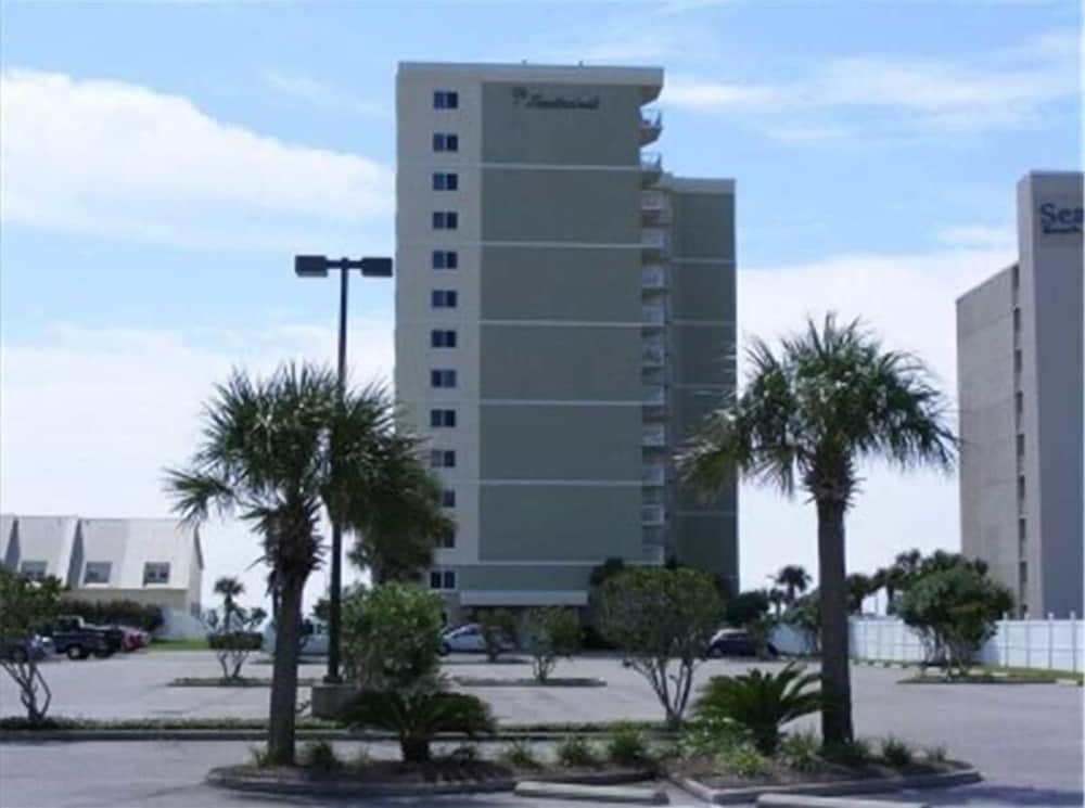 Tradewinds 1303