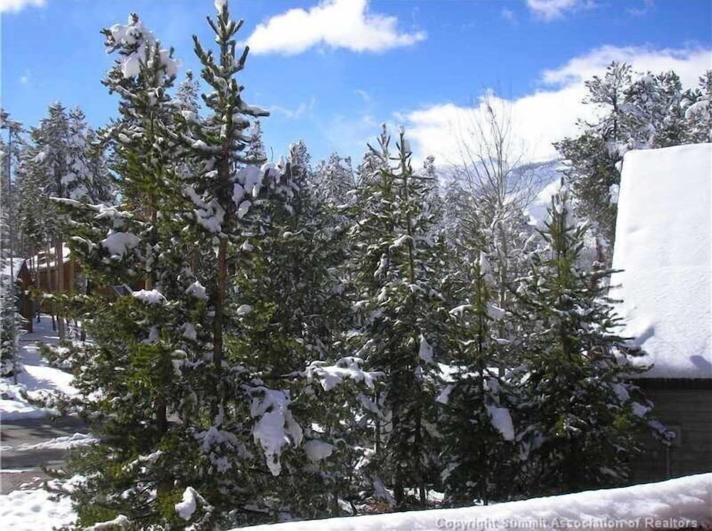 Timber Hill