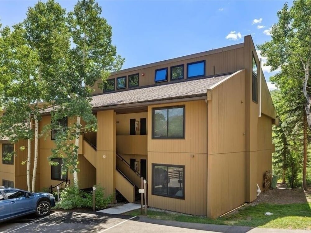 Remodeled Snowmass Pet-Friendly Modern 1BR Condo - G125