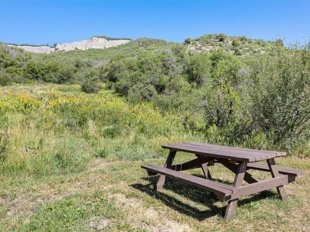 Remodeled Snowmass Pet-Friendly Modern 1BR Condo - G125