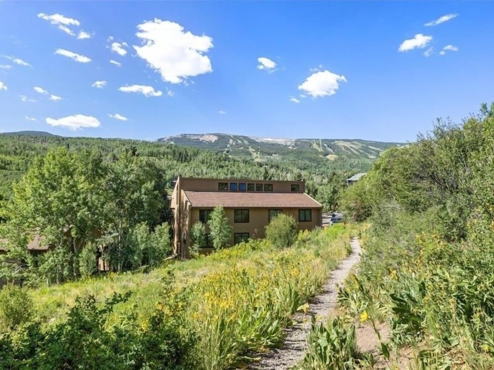 Remodeled Snowmass Pet-Friendly Modern 1BR Condo - G125