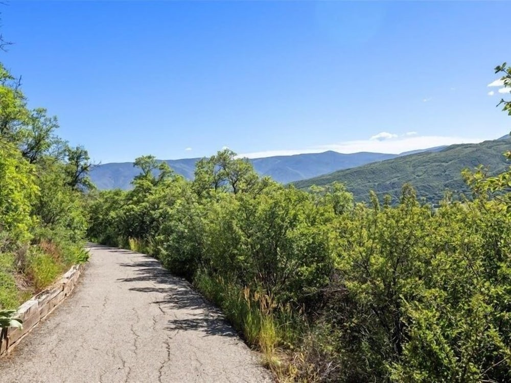 Remodeled Snowmass Pet-Friendly Modern 1BR Condo - G125