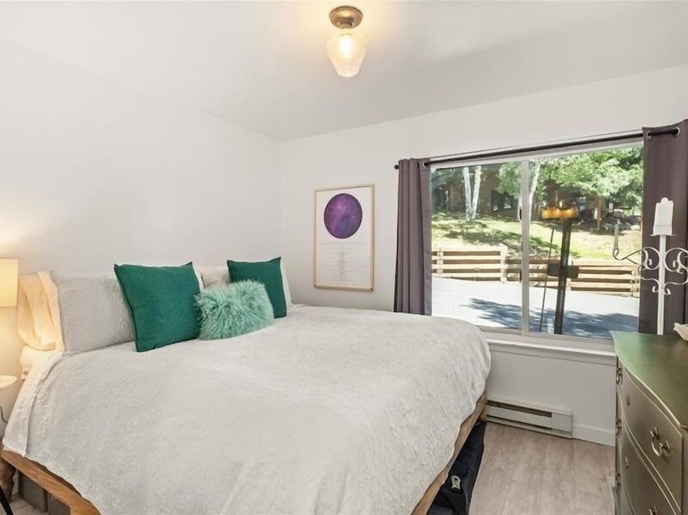 Remodeled Snowmass Pet-Friendly Modern 1BR Condo - G125