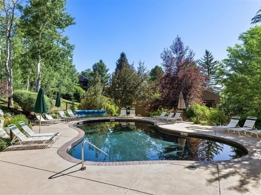 Remodeled Snowmass Pet-Friendly Modern 1BR Condo - G125