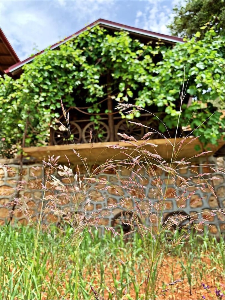 Kas Dogapark Otel - Image 62