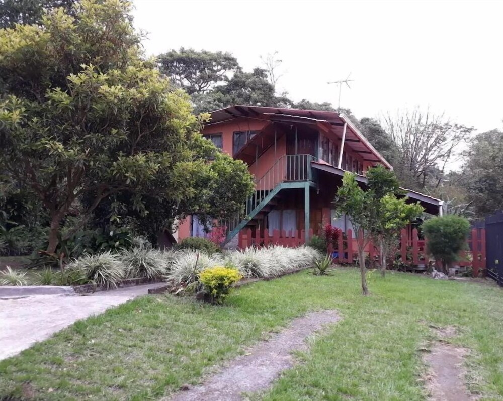 Photo 41