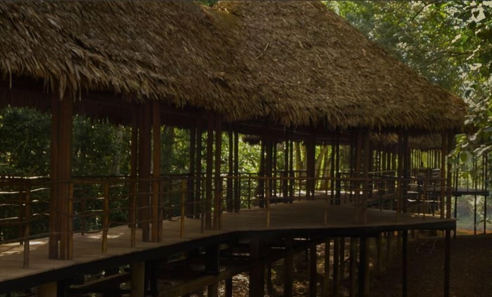 Treehouse Lodge