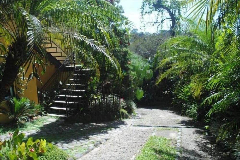 Photo 19