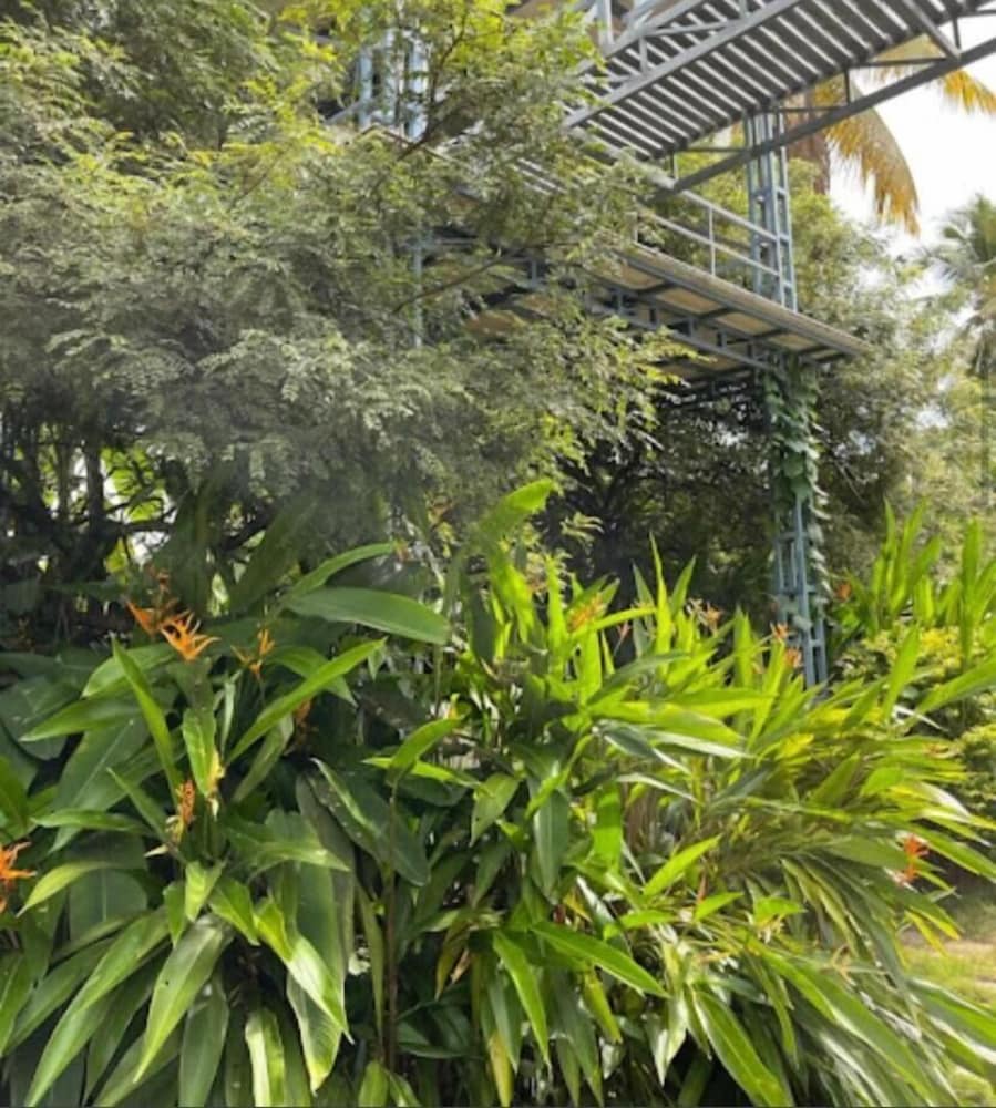 Rain Homestay