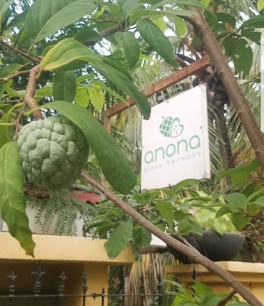 Anona Guesthouse