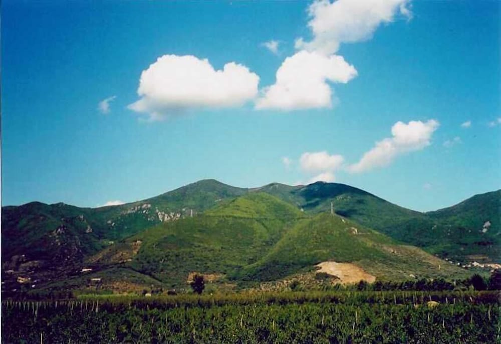 Agriturismo La Pisana