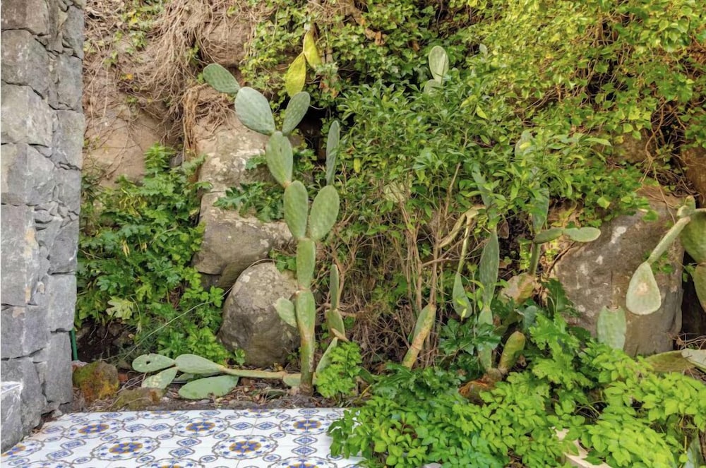 Dolce Lava - Natural Luxury Experience