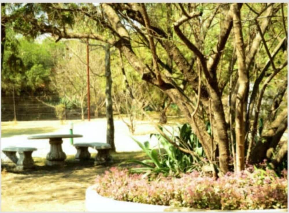 Photo 48