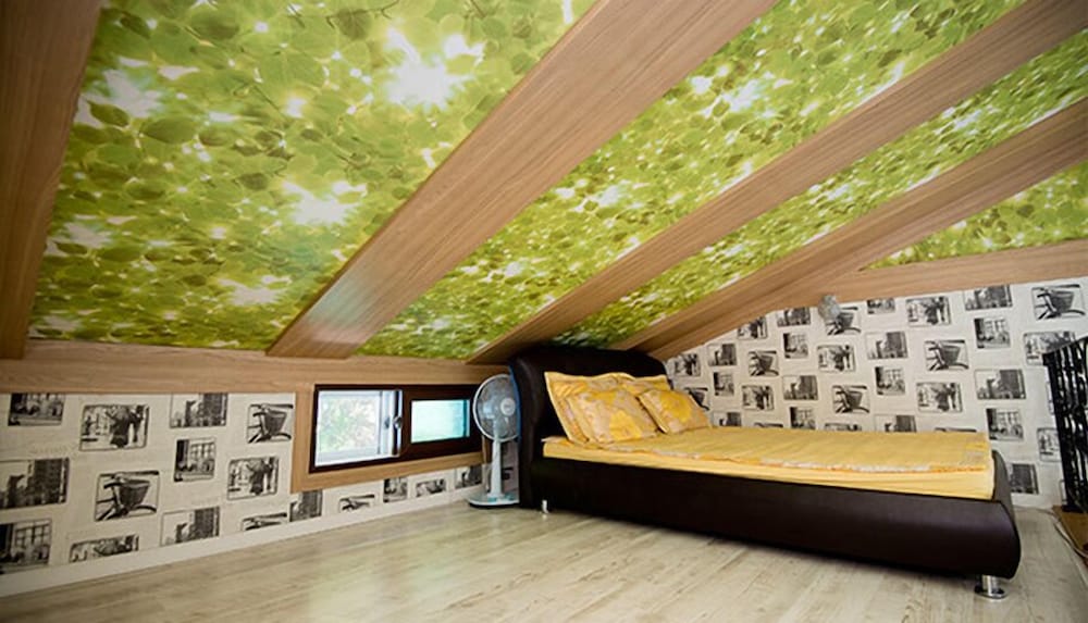 Ulsan Edelweiss Pension