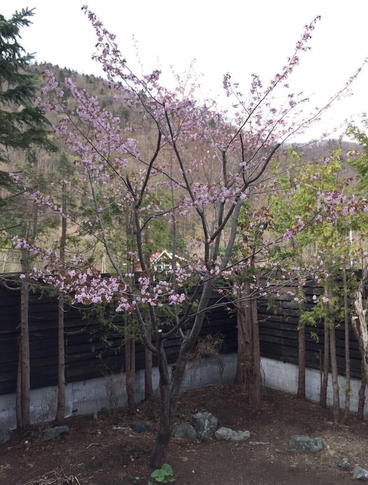 Hotel Kinwaso