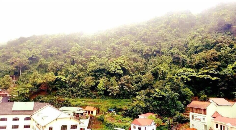 Royal Huy Tam Dao