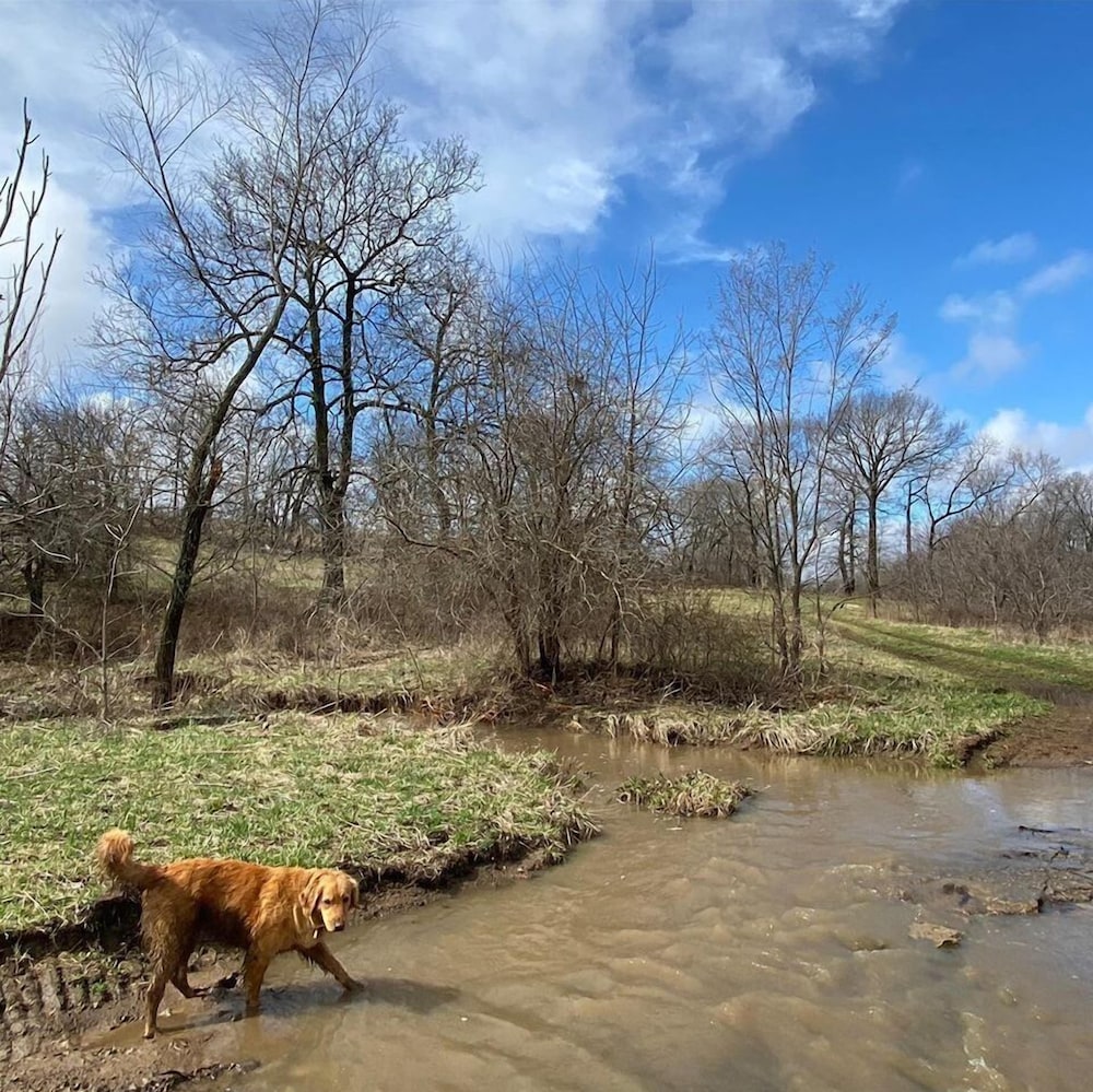 Lawrence Vacations - Circle S Ranch - Property Image 57