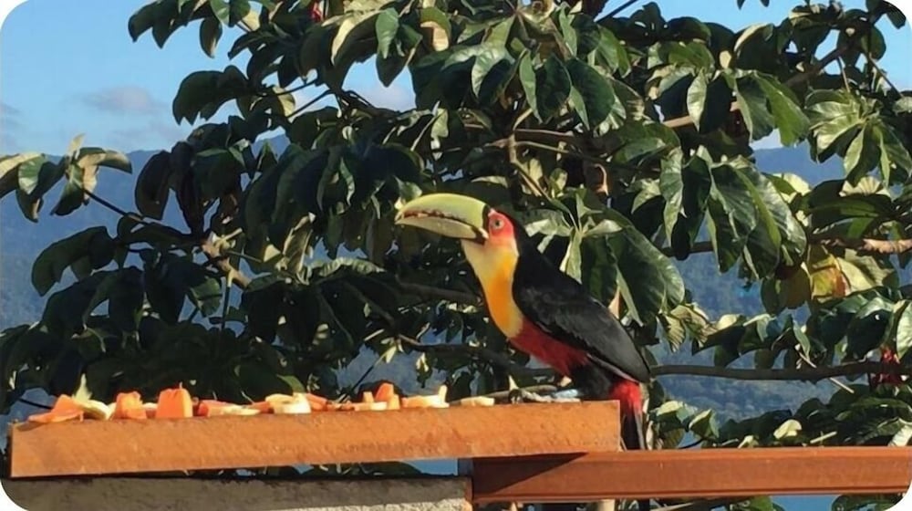 Yumi Chalés Ilhabela