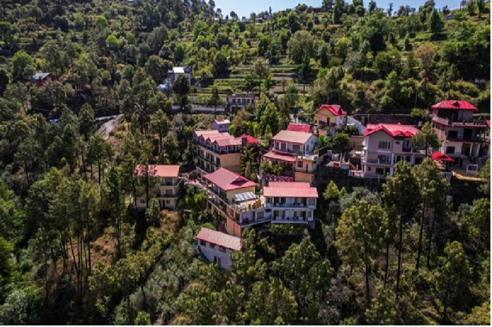 Maple Resort Chail