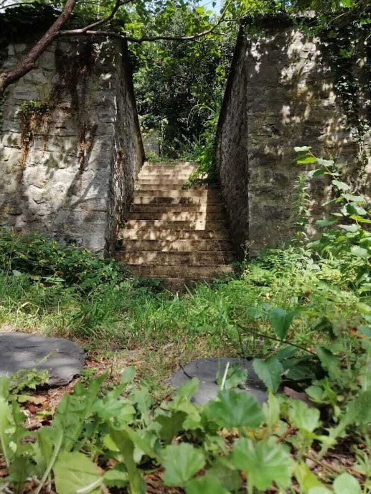 La Belle Vigne - Namur