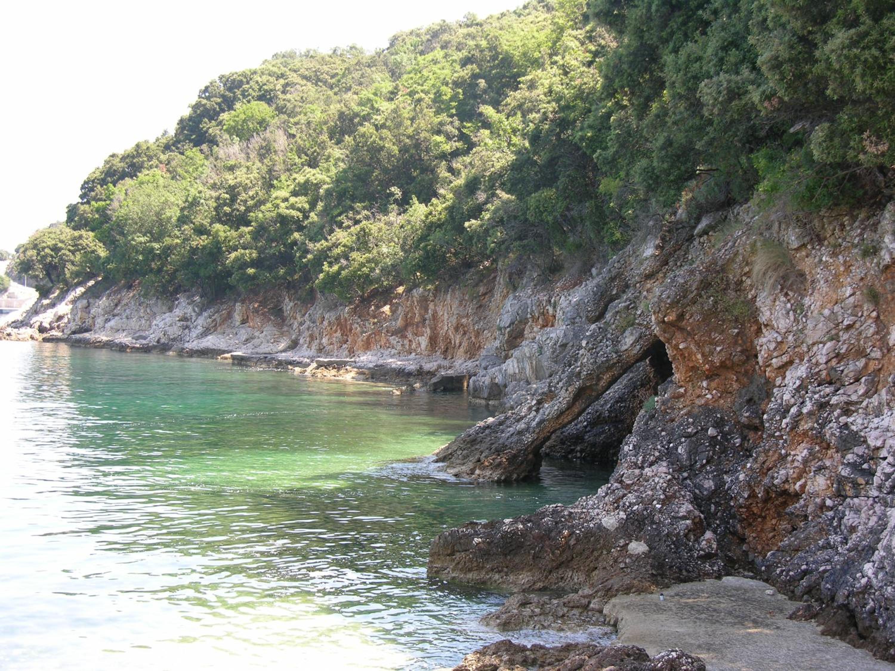 Photo 42