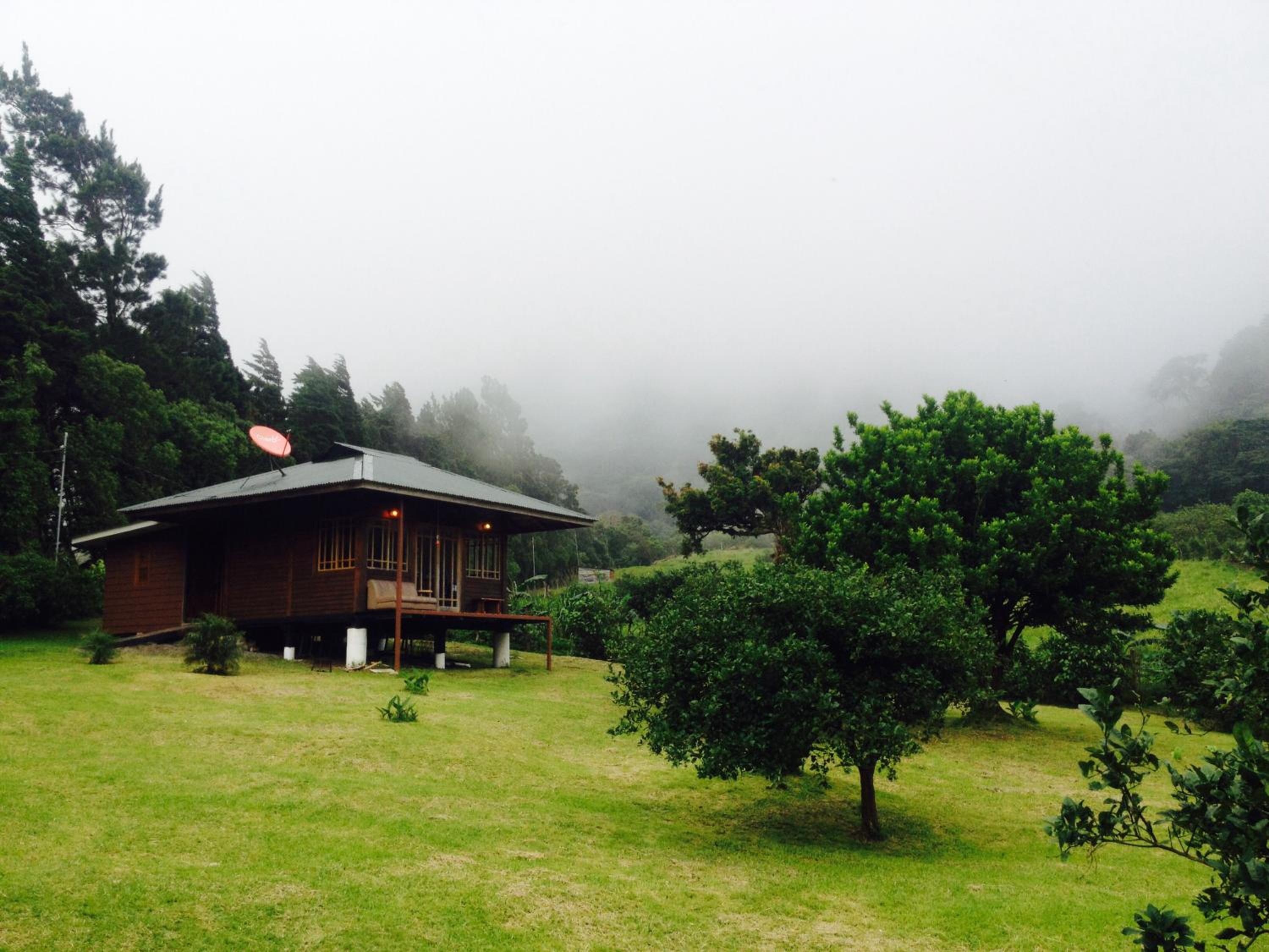 Lemon House Monteverde - Property Image 17