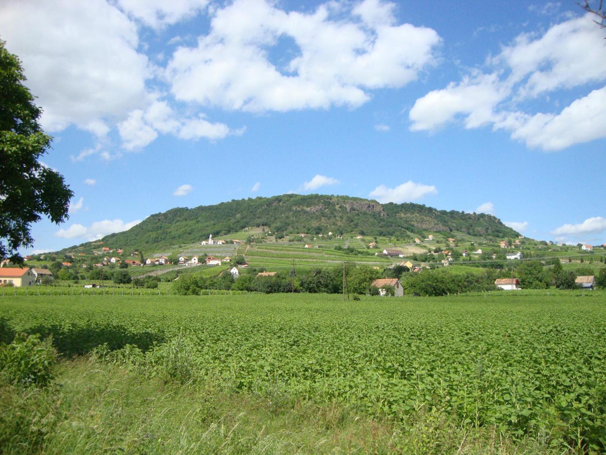 Photo 33