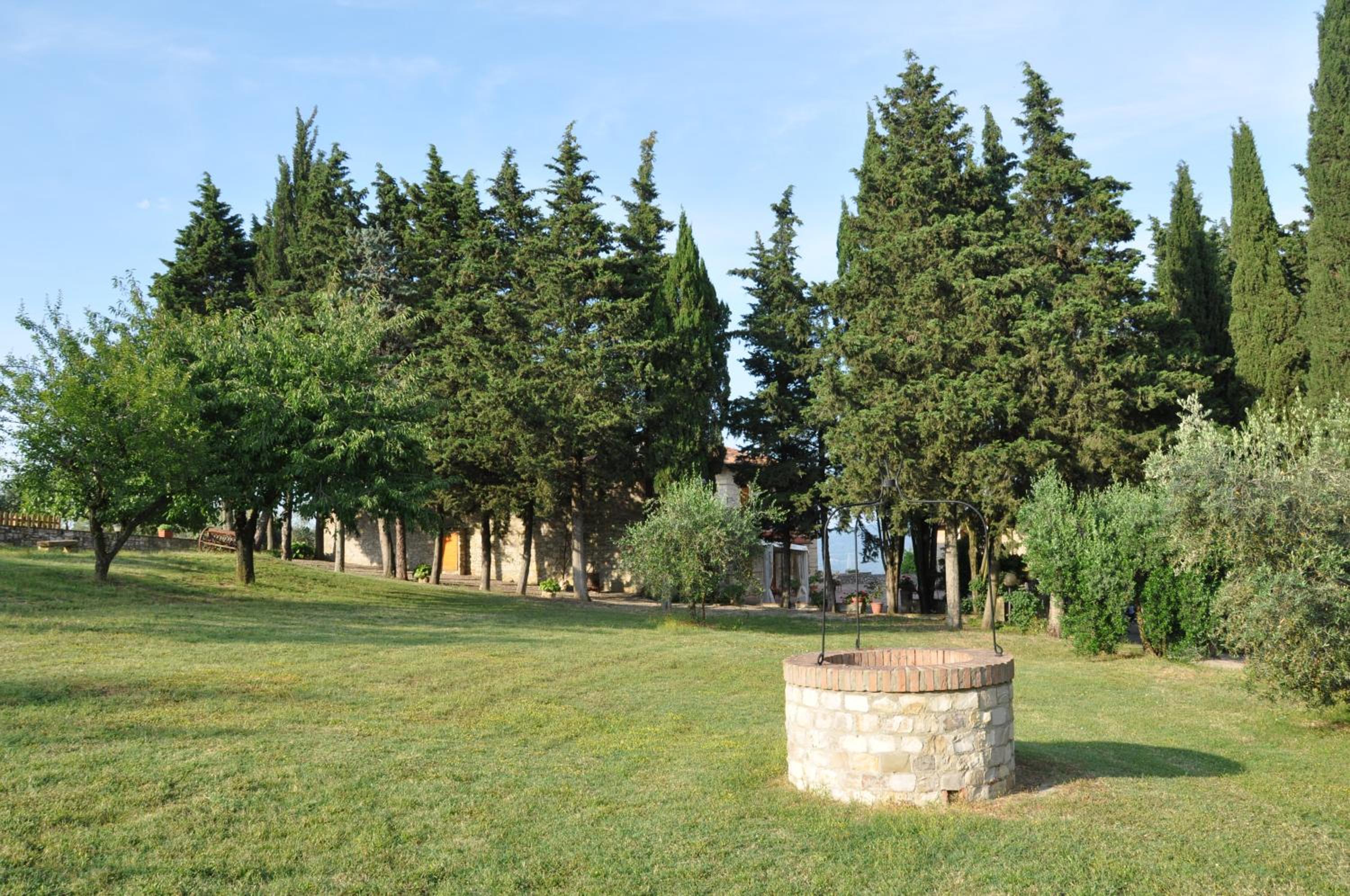 Photo 46