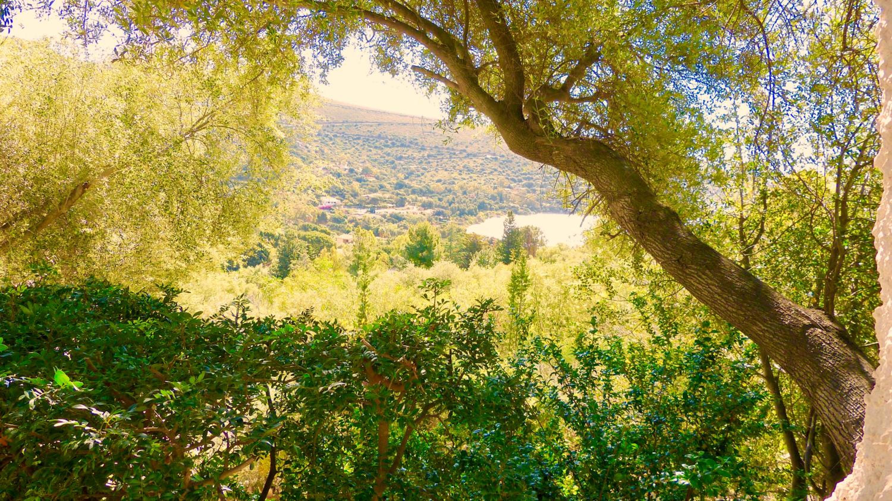 Villa Liliana P9275 view 3