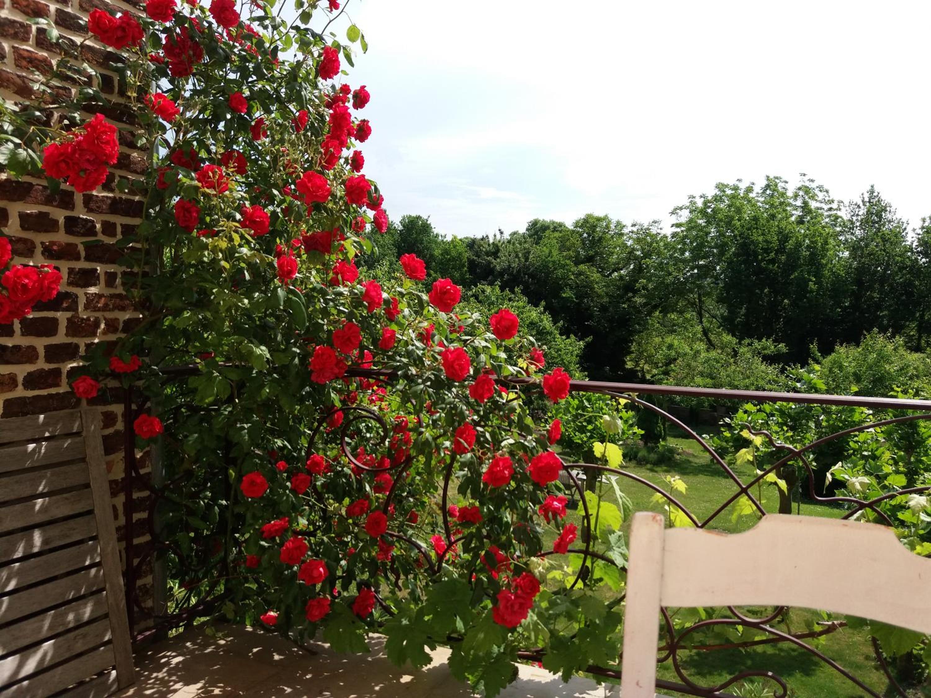 B&B De Kersentuin