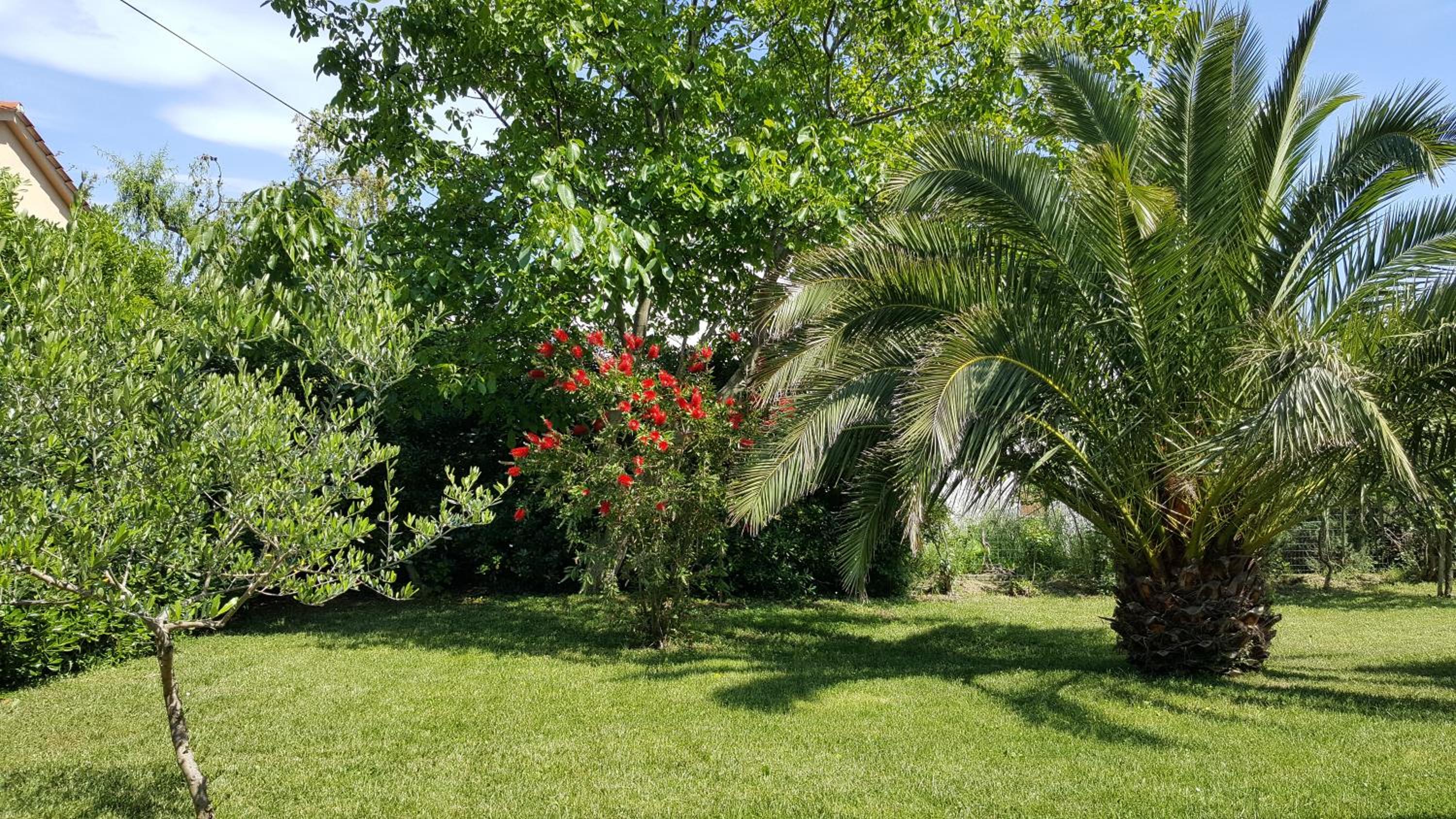 Haus Mirela view 5