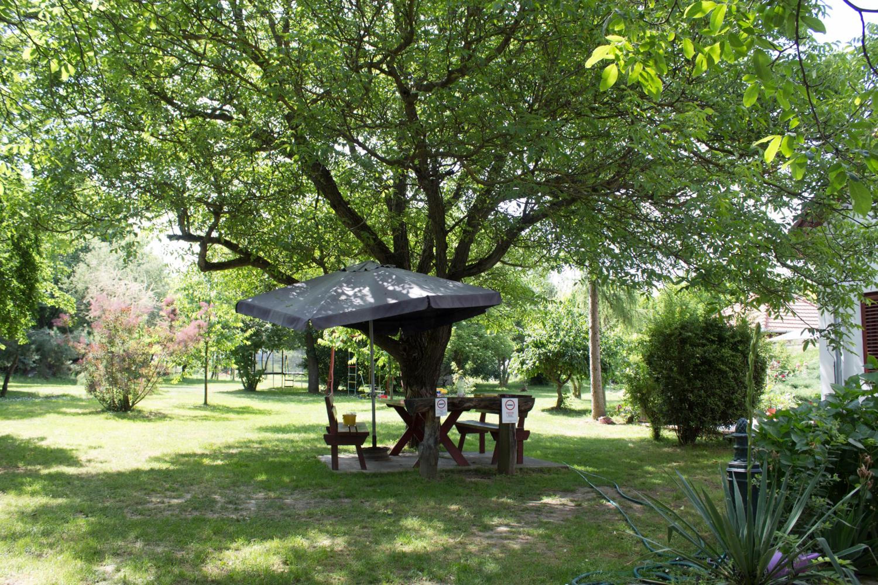 Holiday Home Melinda view 4