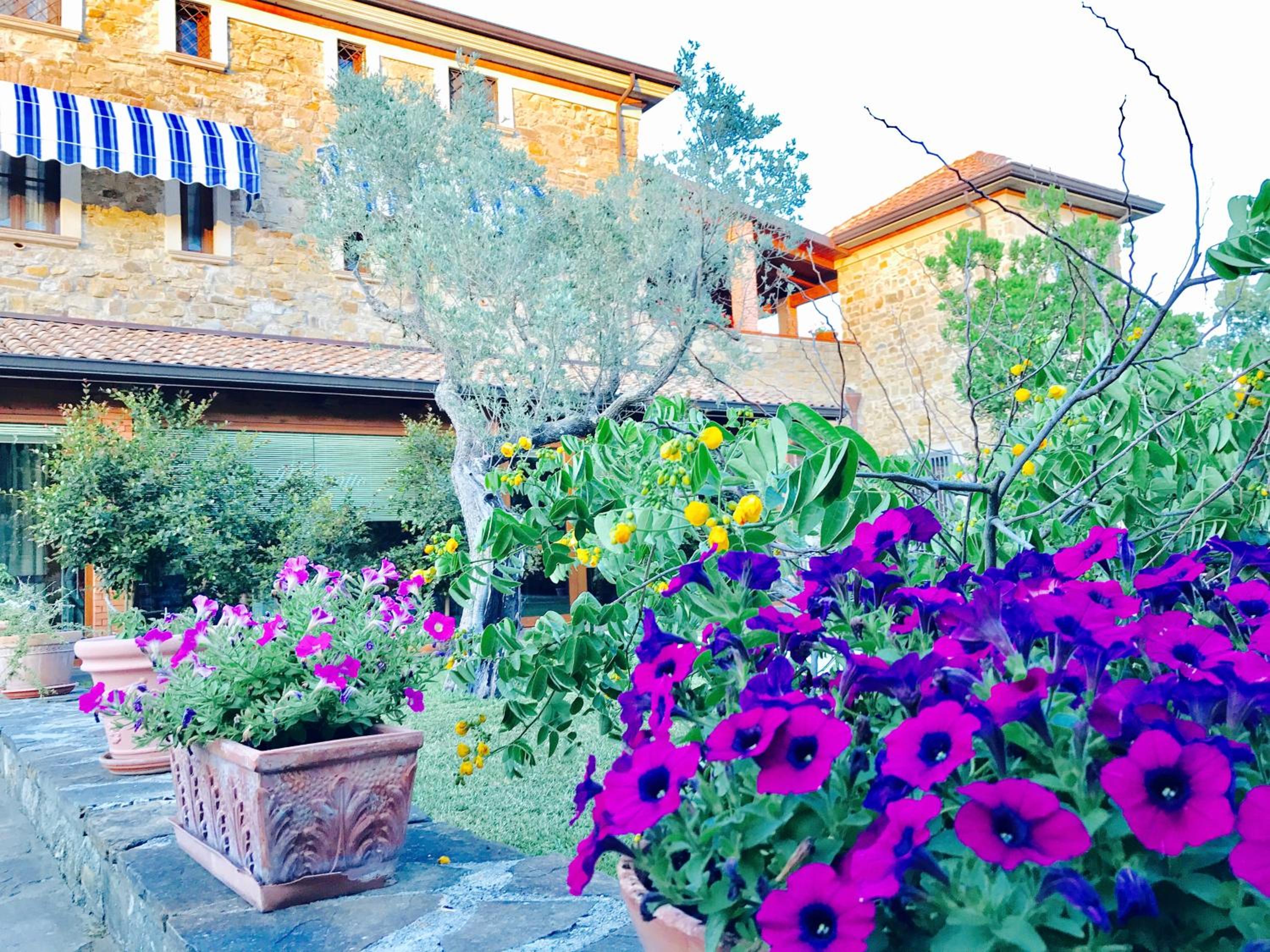 Casa Vacanze Il Cenito
