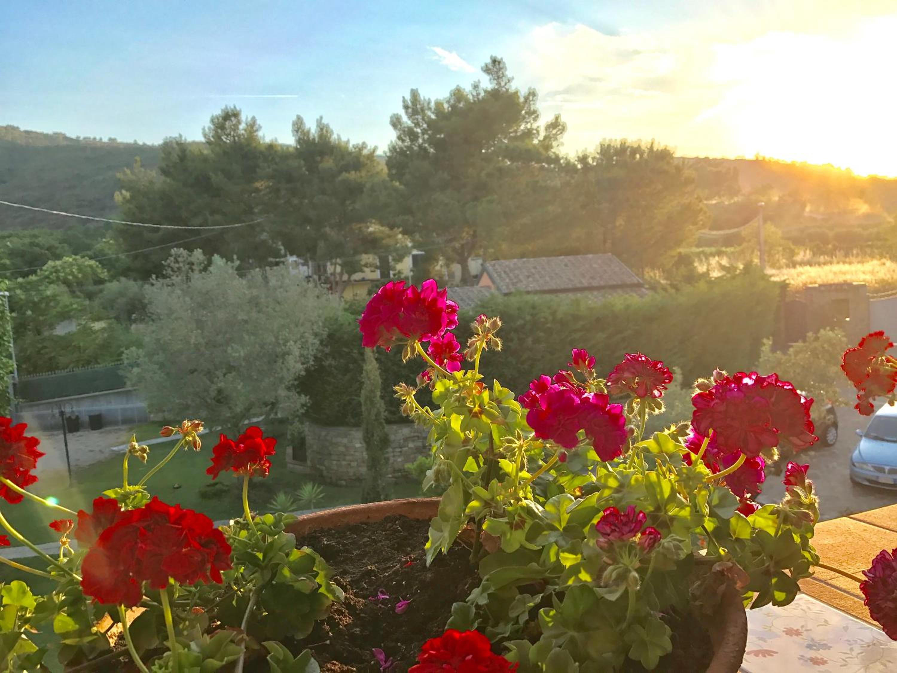 Casa Vacanze Il Cenito