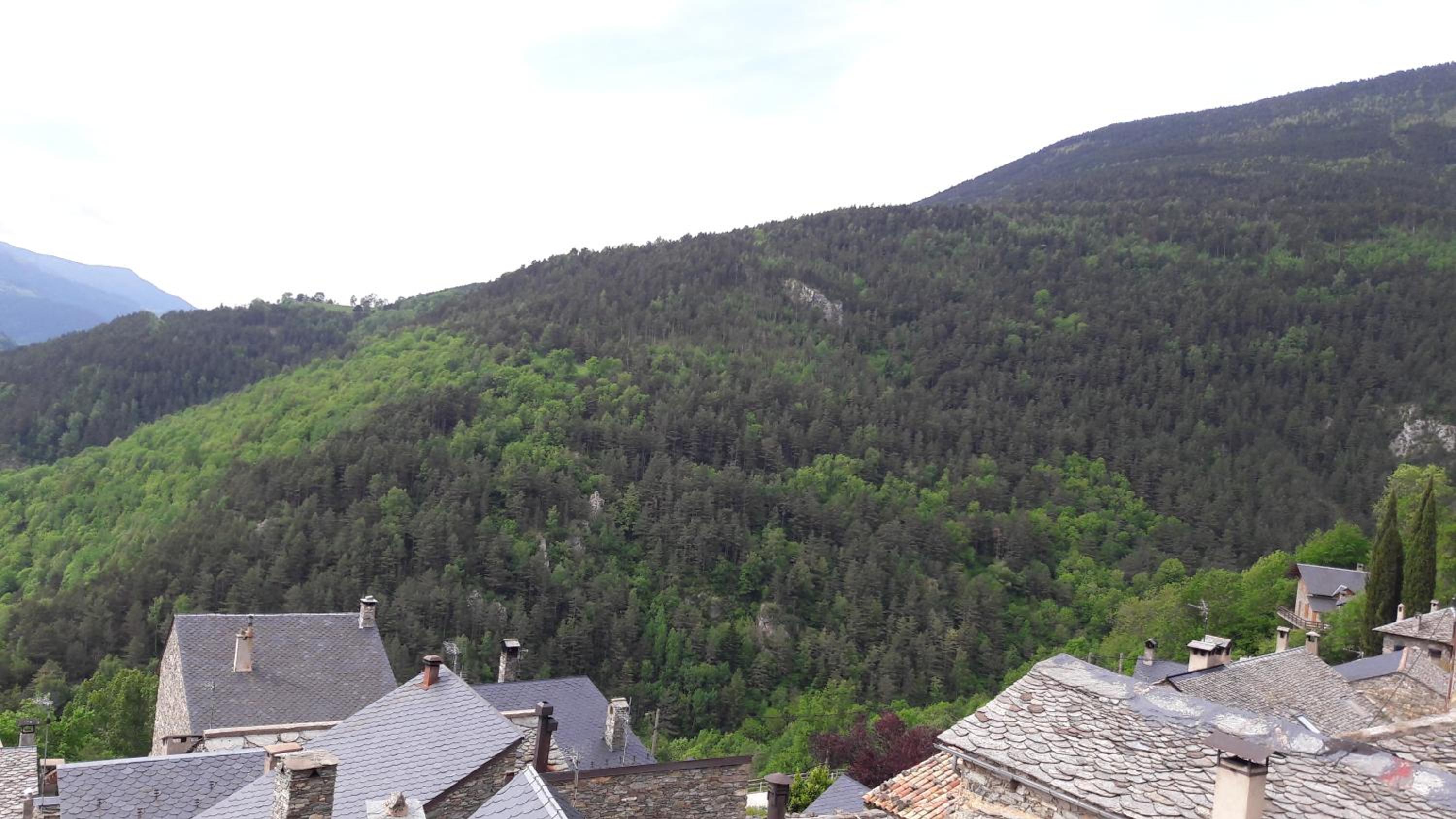 Apartaments Rurals XIX view 5