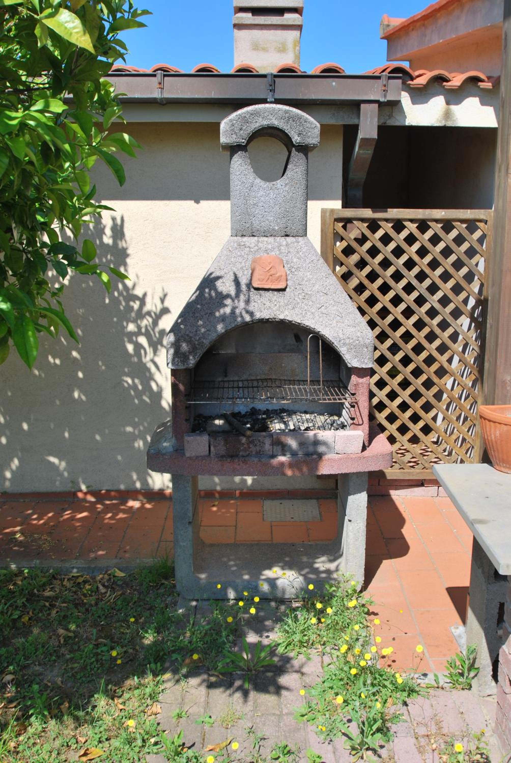 Photo 41