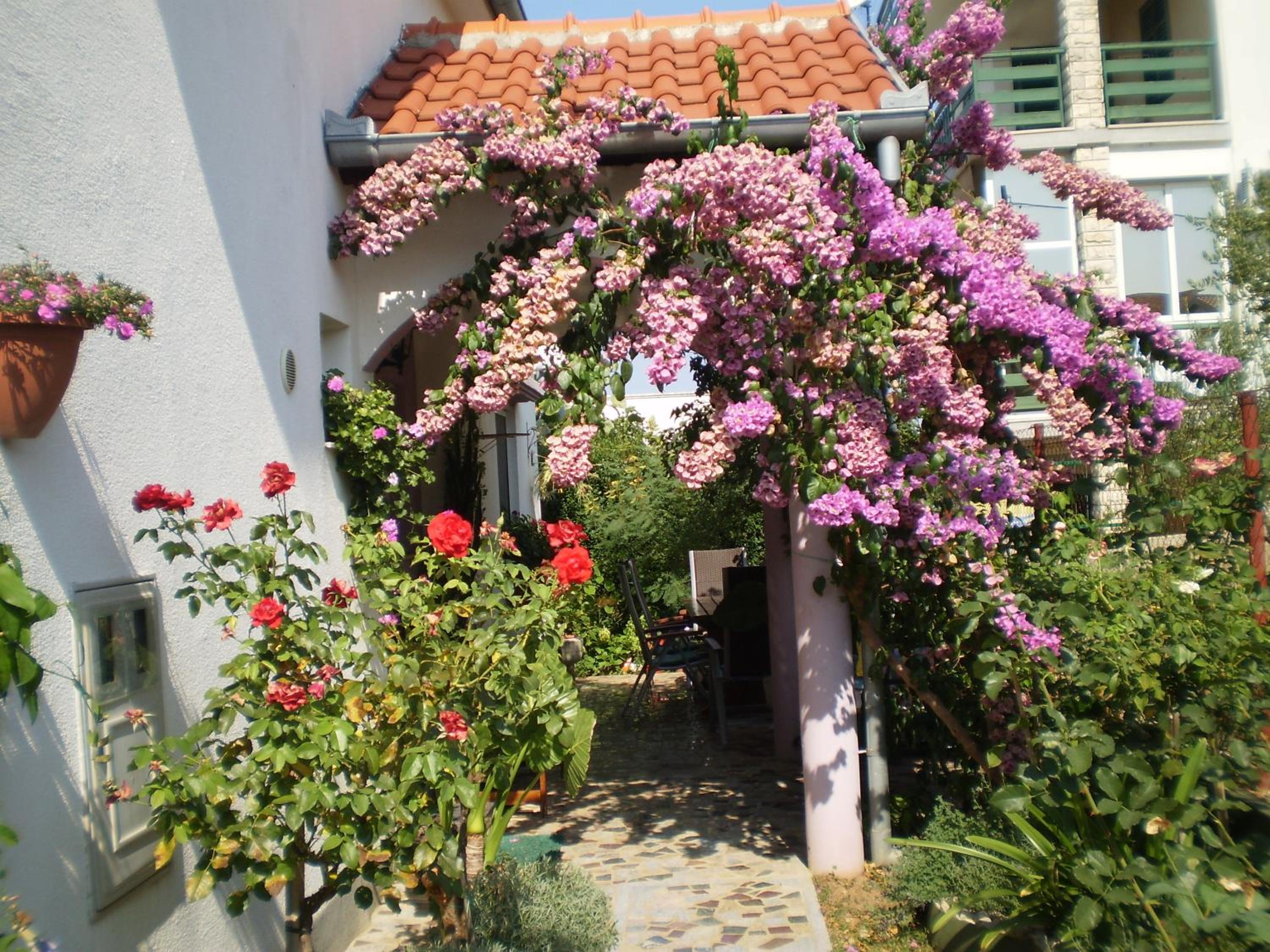 Photo 7