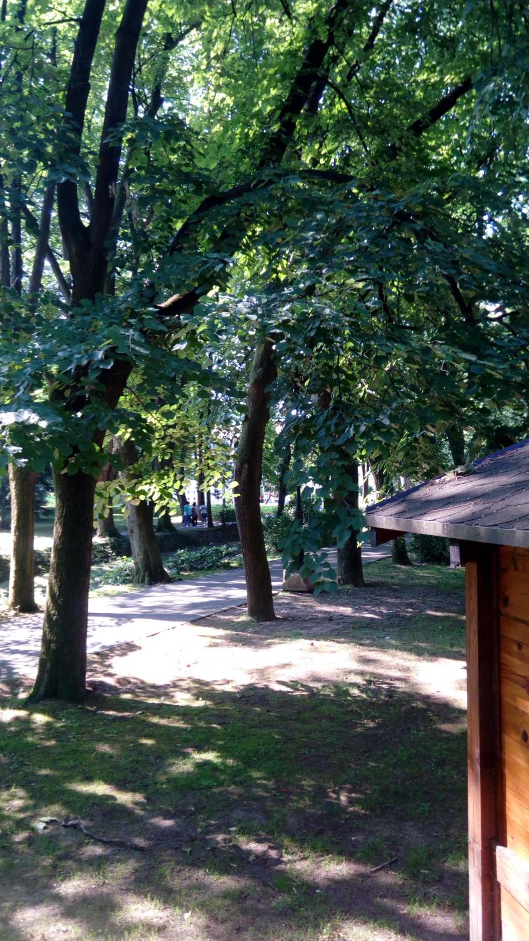 Photo 14