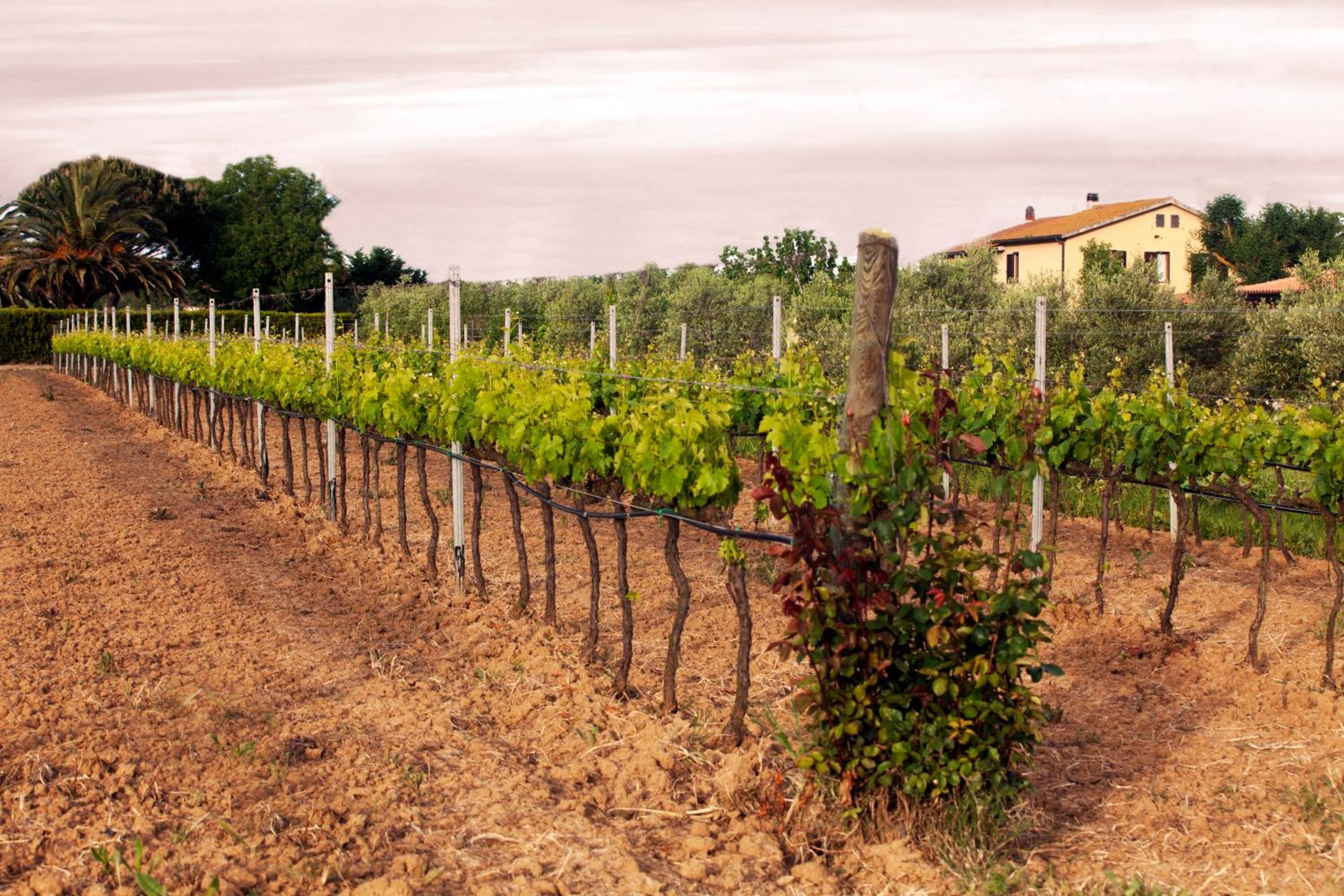 Il Giardino dell'Osa
