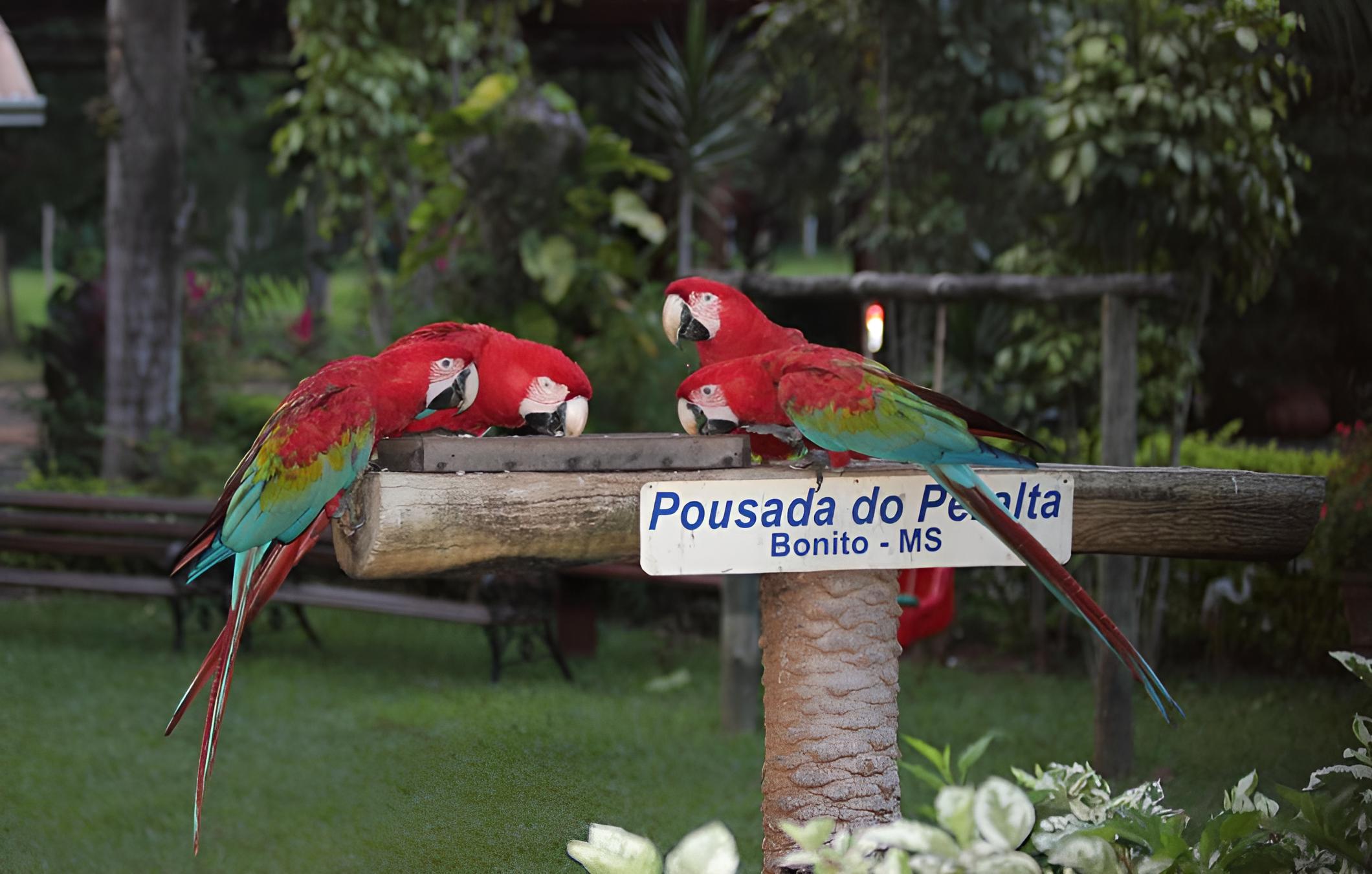 children's play area