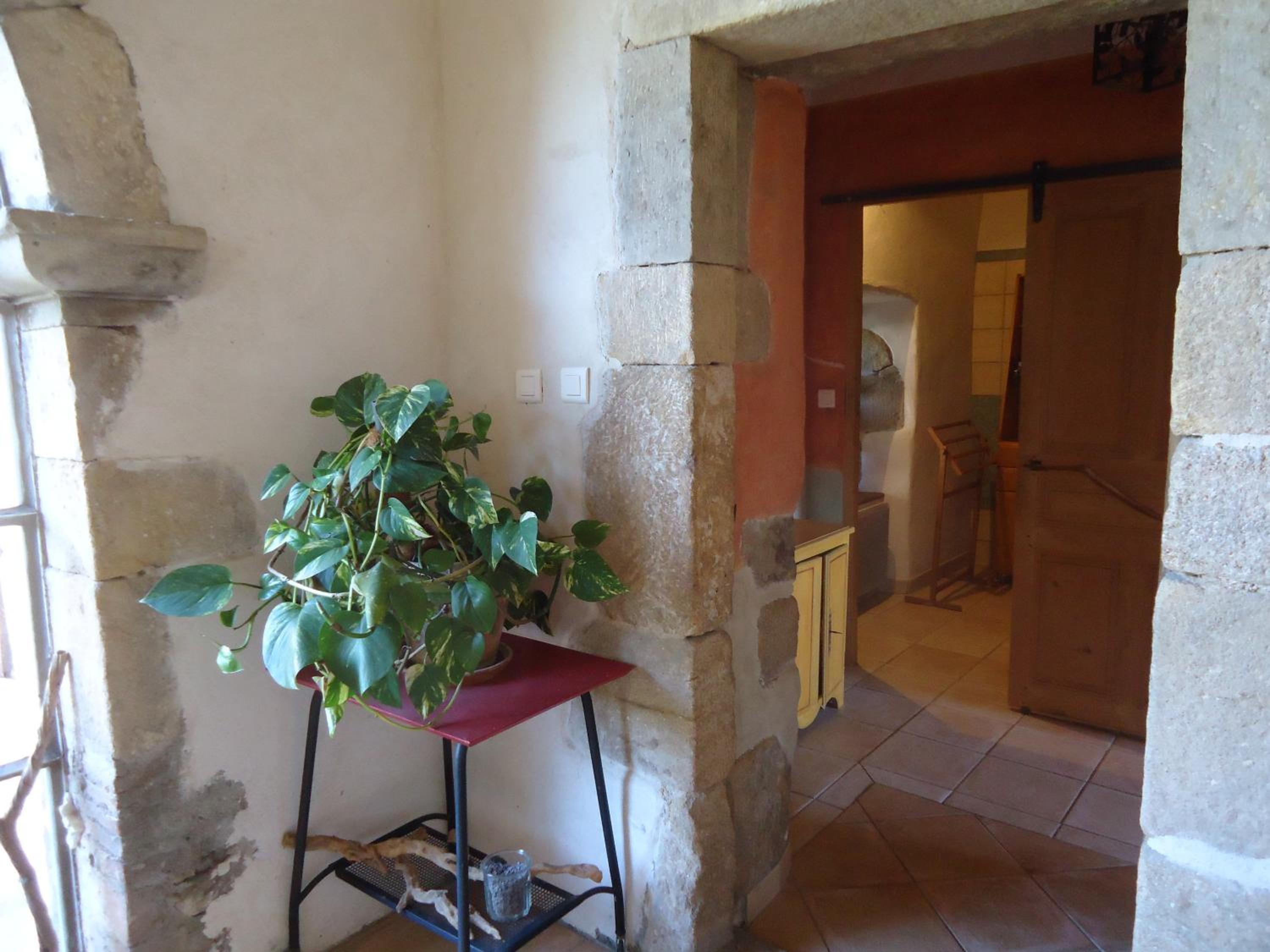 Le vieux tilleul