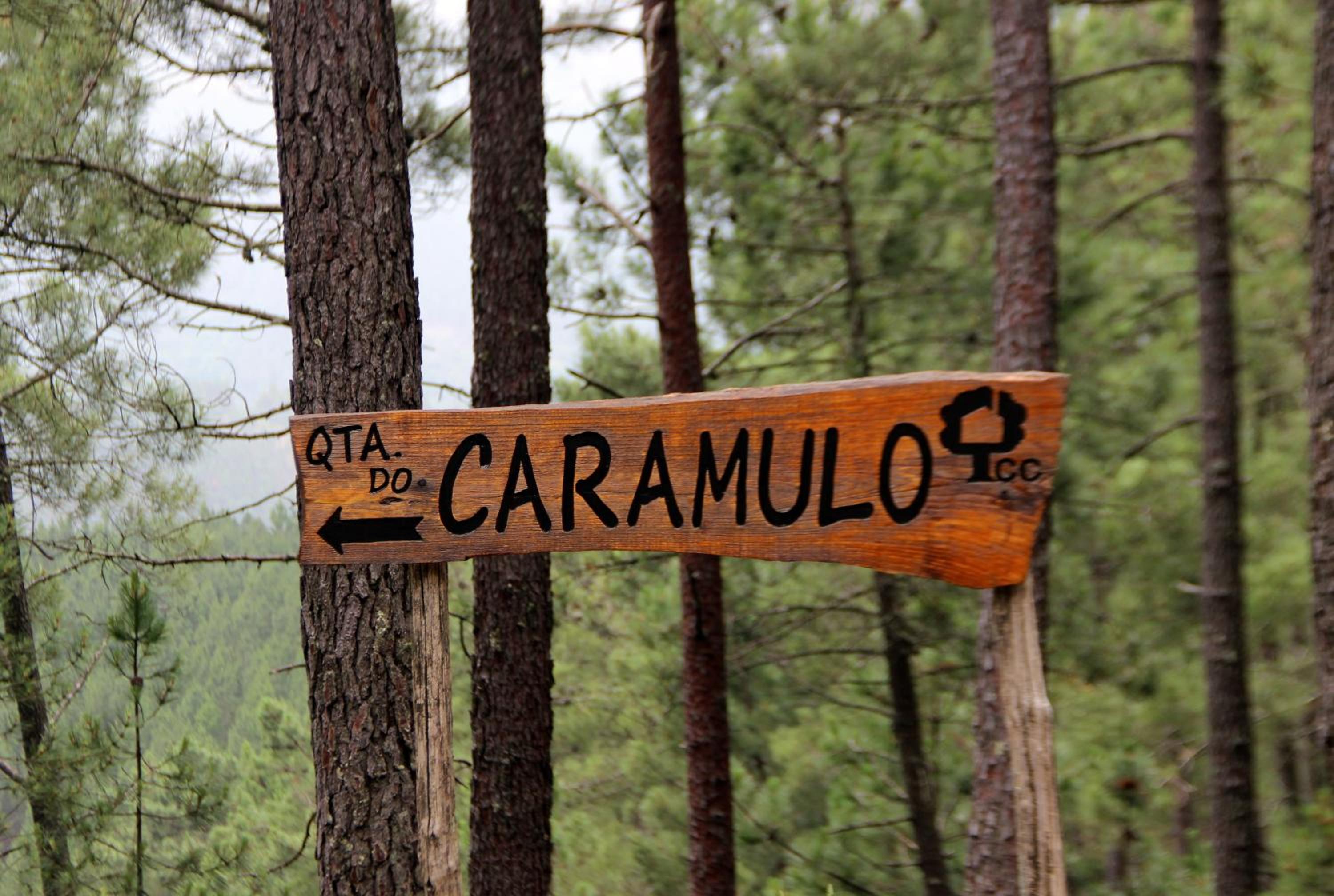 Quinta Do Caramulo